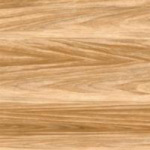 Gạch Trường Thịnh WOOD SERIES EDKMA88304